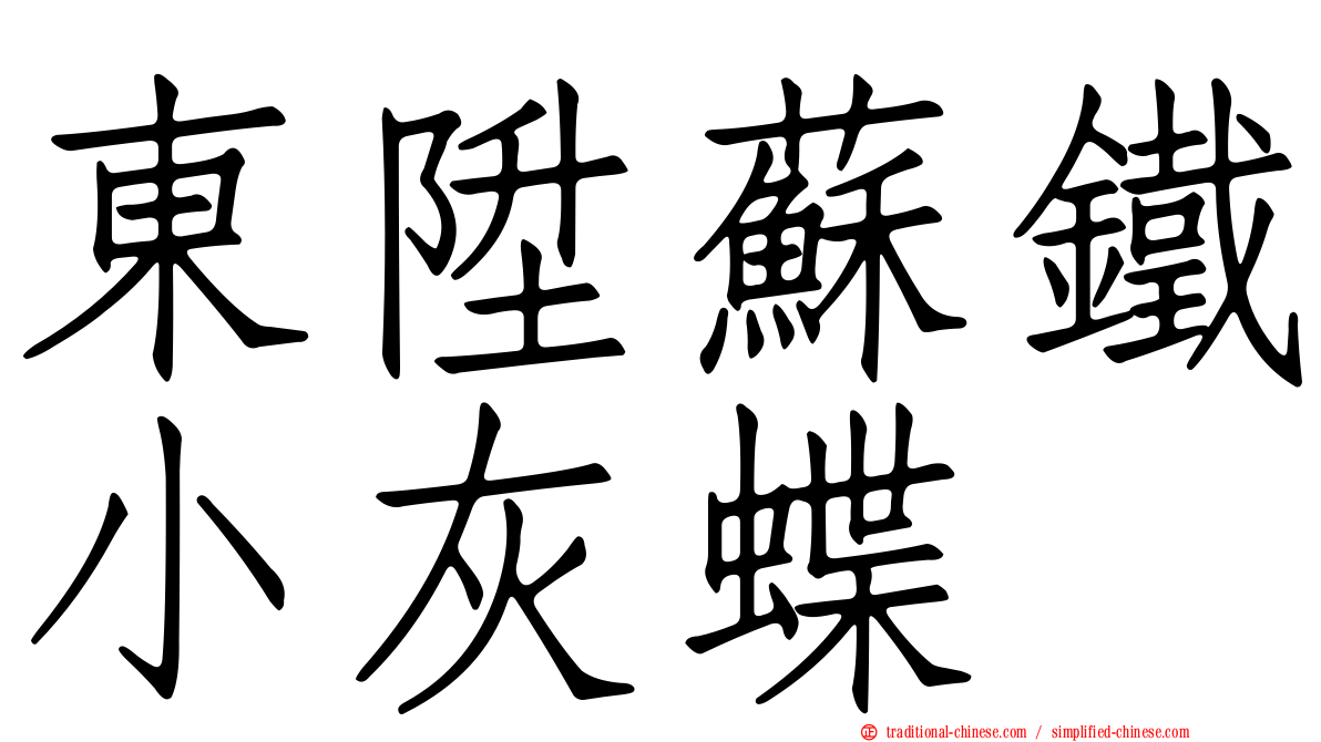 東陞蘇鐵小灰蝶