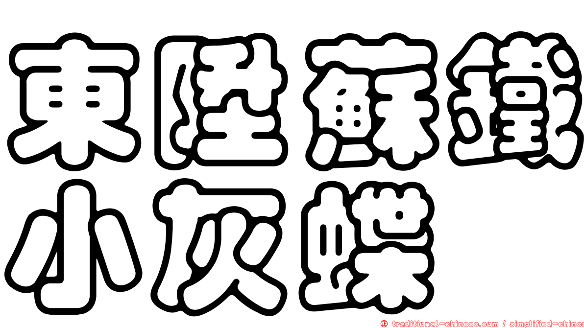 東陞蘇鐵小灰蝶