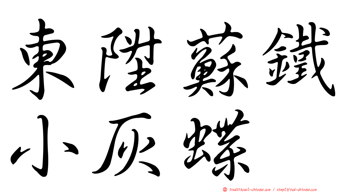 東陞蘇鐵小灰蝶