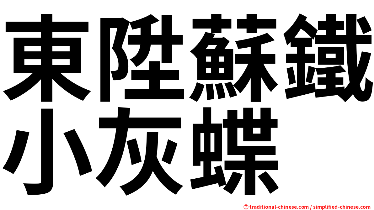 東陞蘇鐵小灰蝶