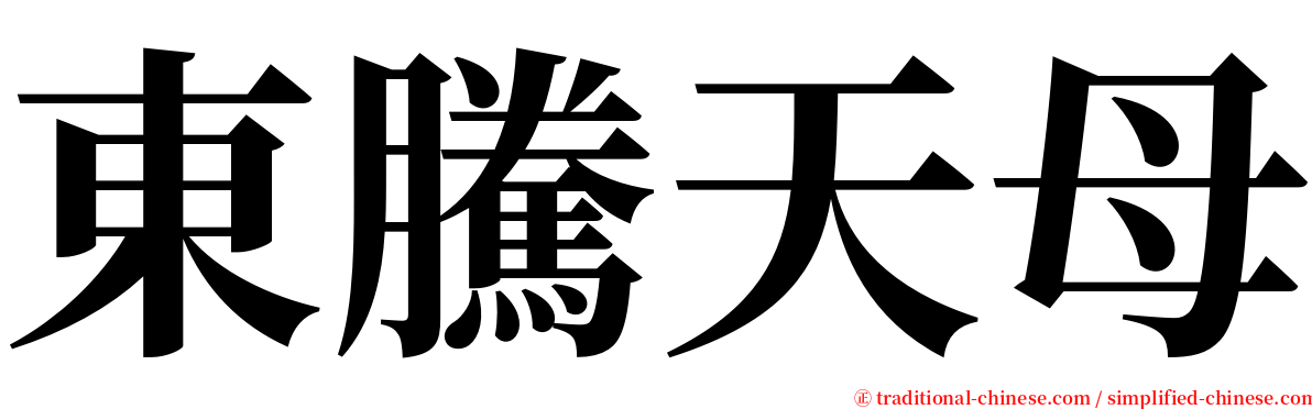 東騰天母 serif font