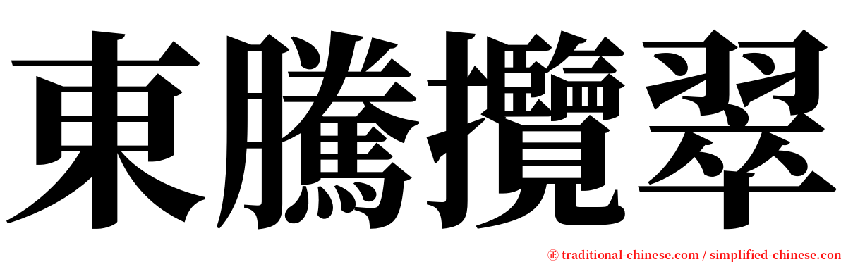東騰攬翠 serif font