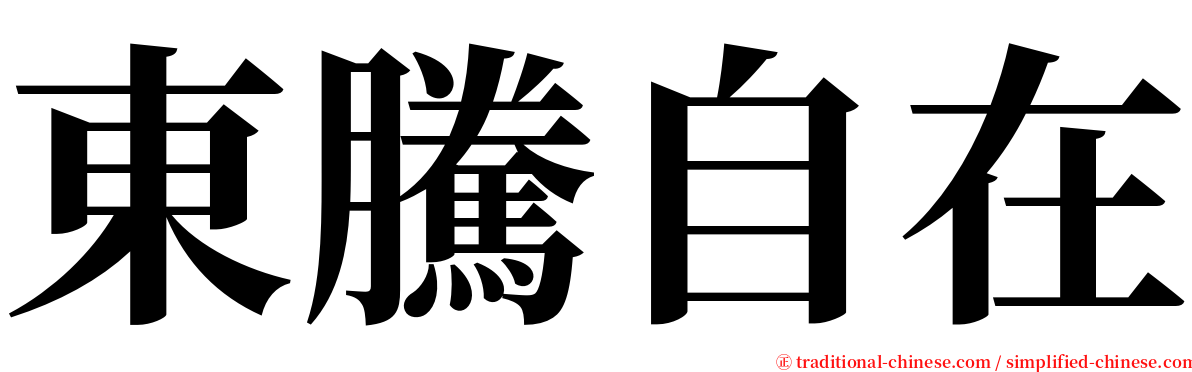 東騰自在 serif font