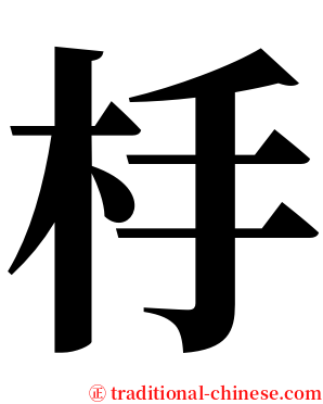 杽 serif font