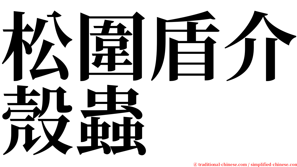 松圍盾介殼蟲 serif font