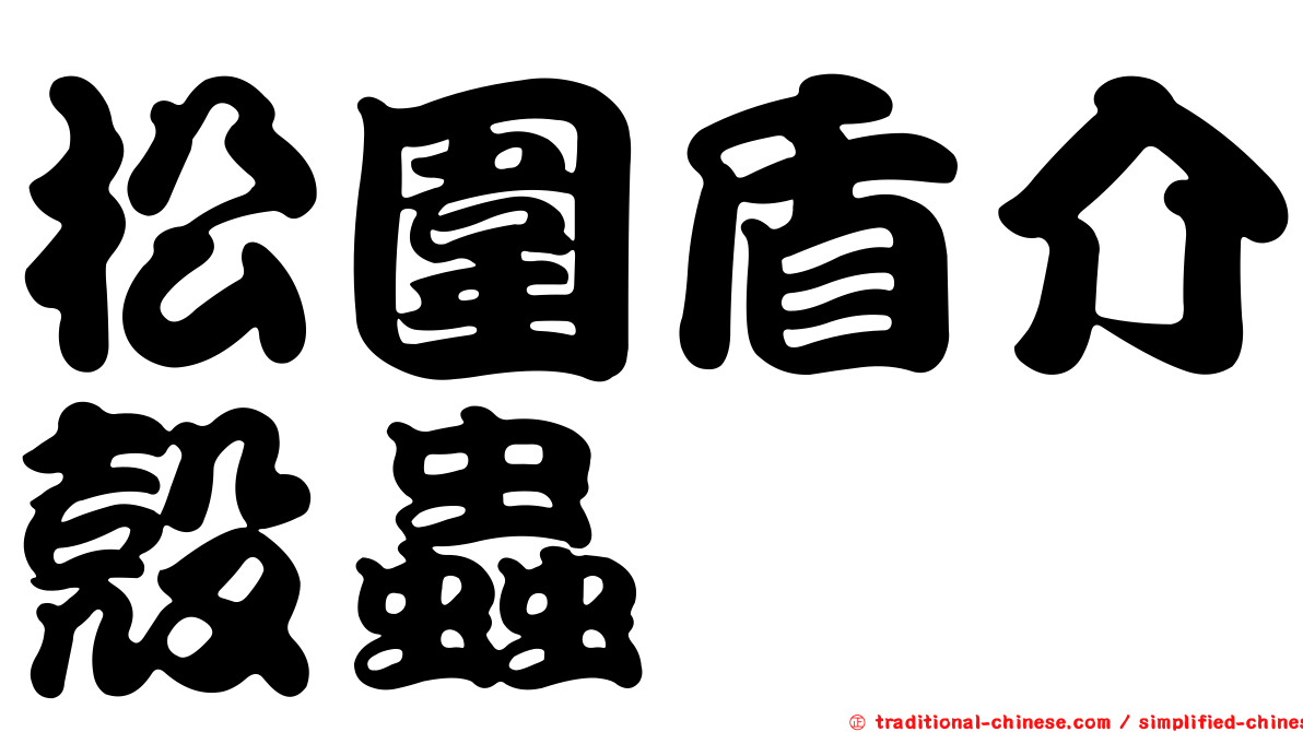 松圍盾介殼蟲