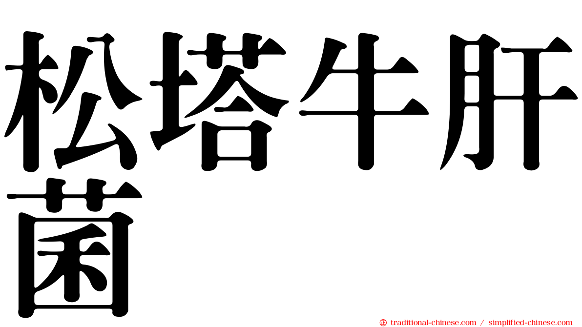 松塔牛肝菌