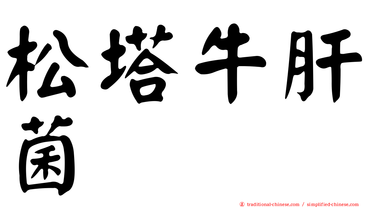 松塔牛肝菌