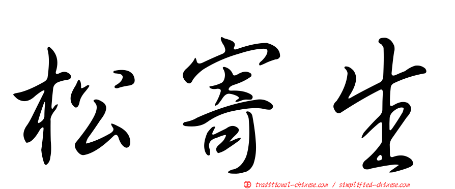 松寄生