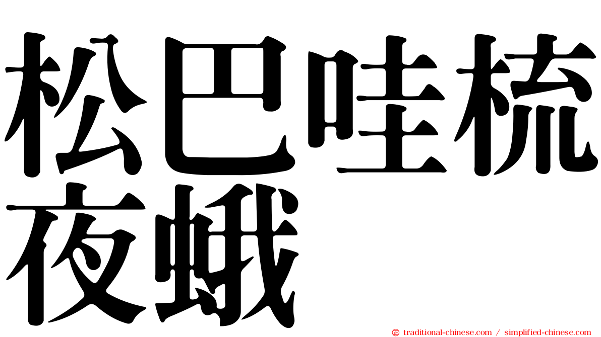 松巴哇梳夜蛾