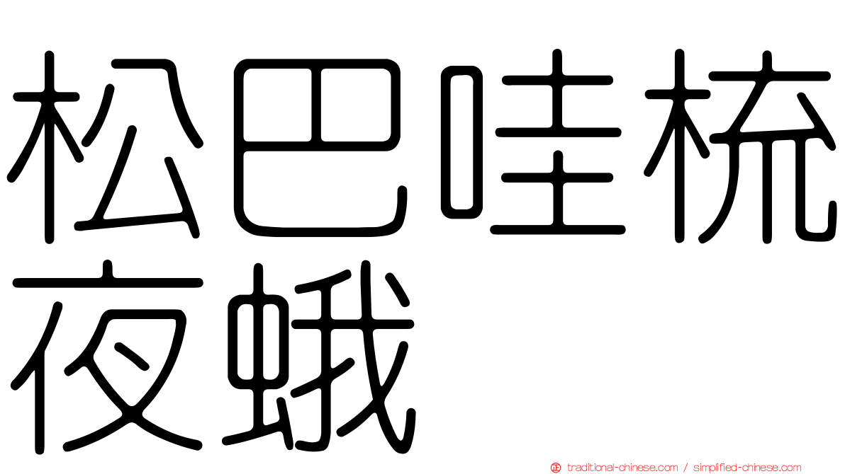 松巴哇梳夜蛾