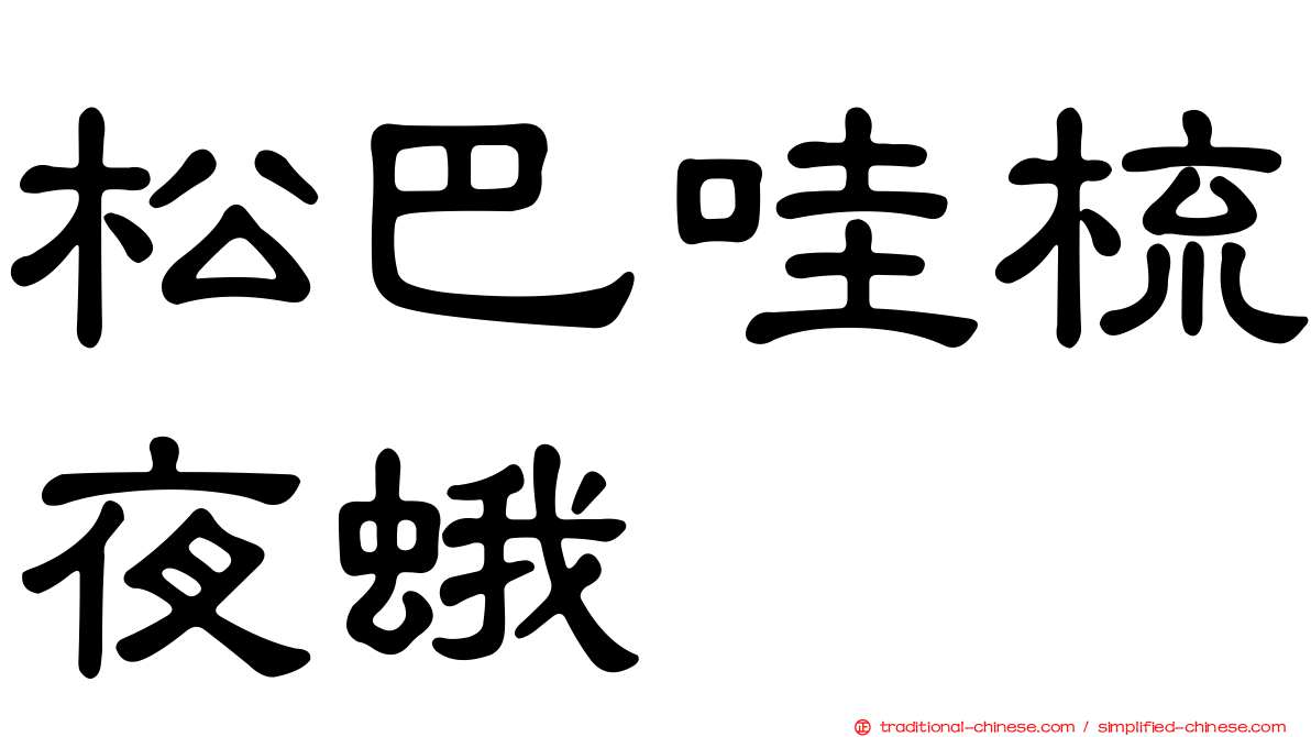 松巴哇梳夜蛾