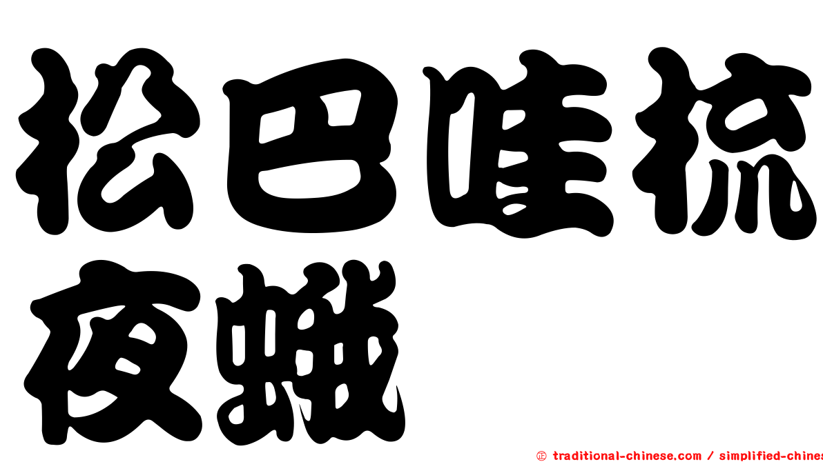 松巴哇梳夜蛾