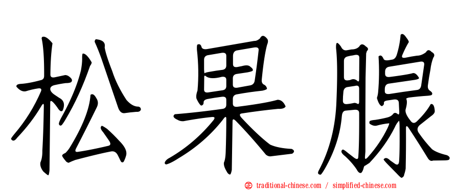 松果腺