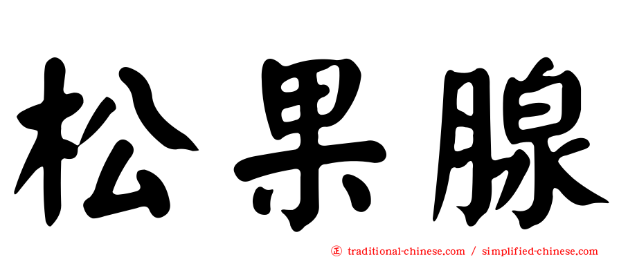 松果腺
