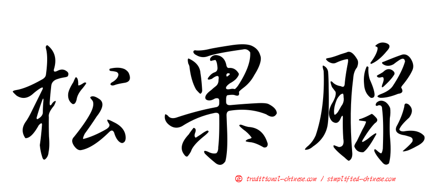 松果腺