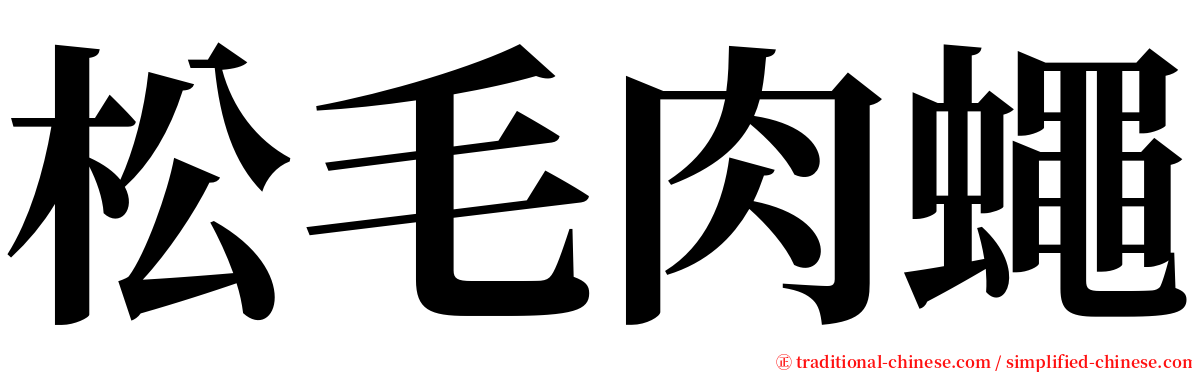 松毛肉蠅 serif font