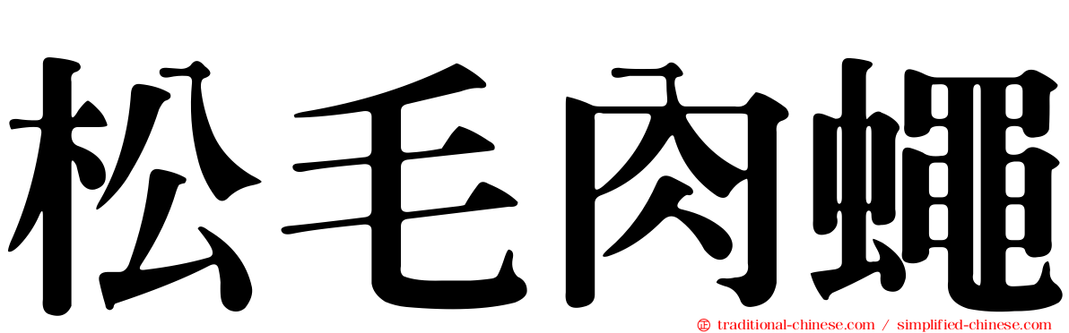 松毛肉蠅