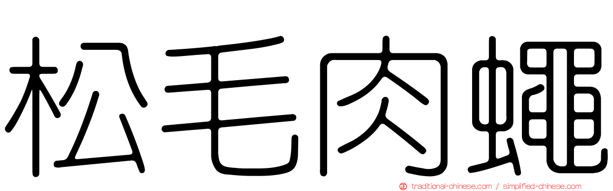 松毛肉蠅