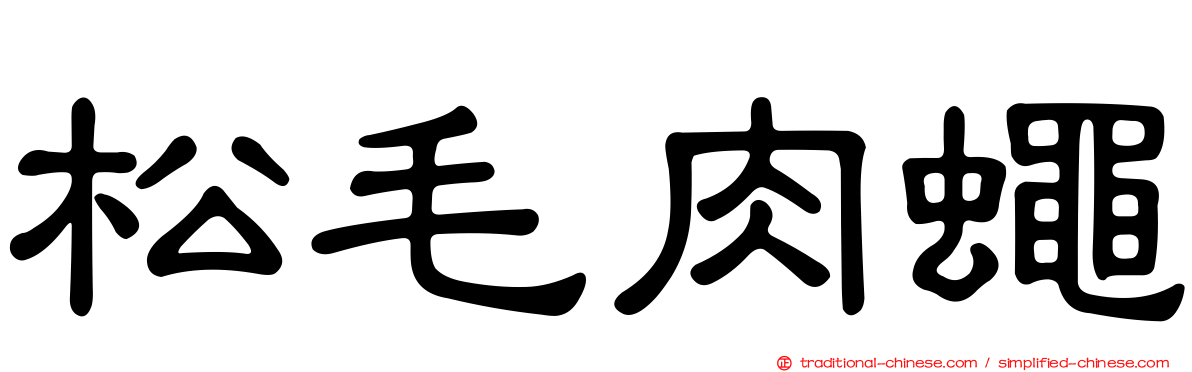 松毛肉蠅