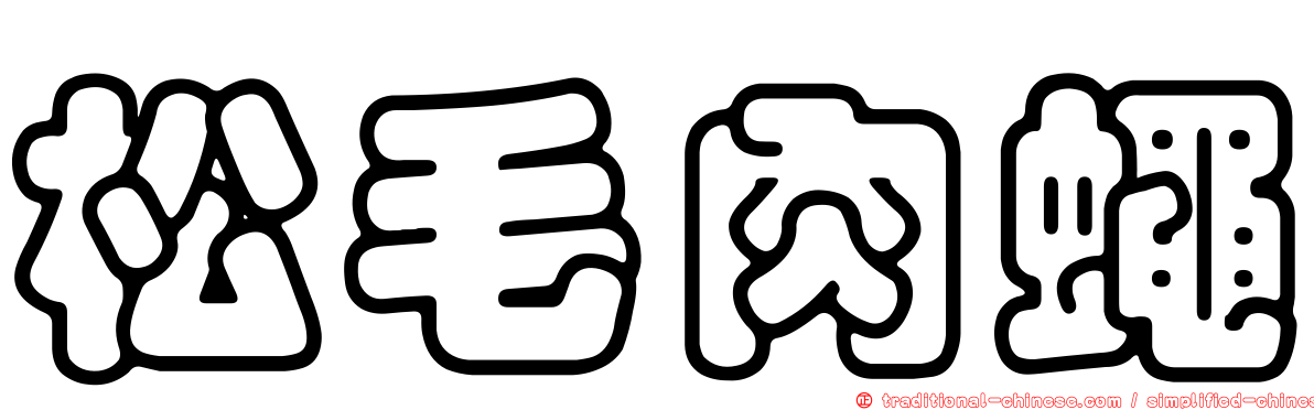松毛肉蠅