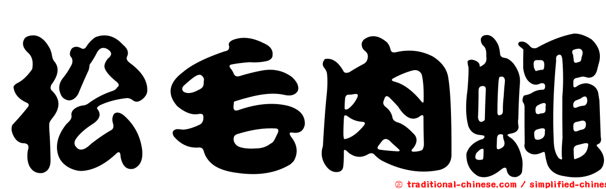 松毛肉蠅