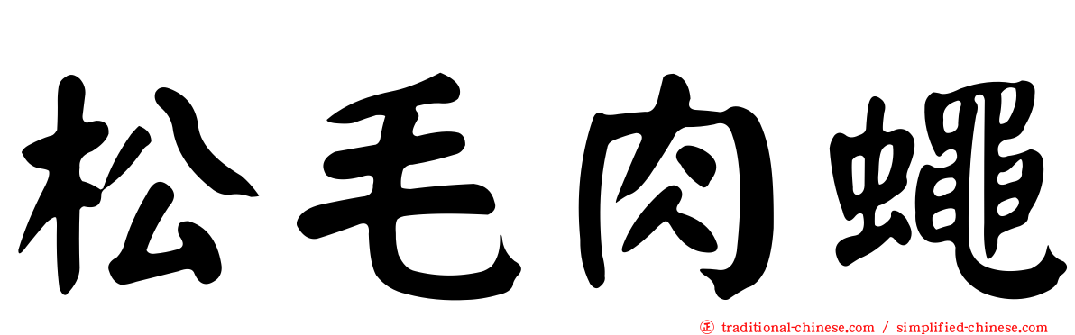 松毛肉蠅