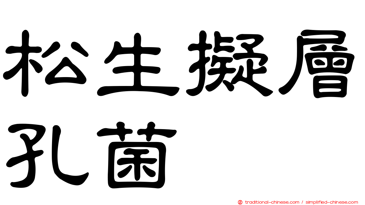 松生擬層孔菌