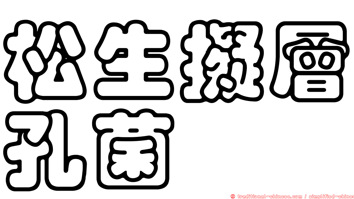 松生擬層孔菌
