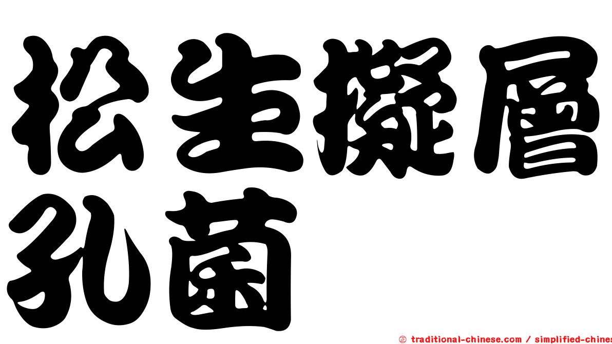松生擬層孔菌