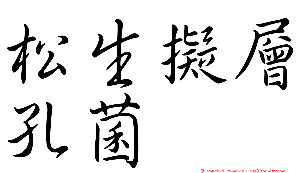 松生擬層孔菌