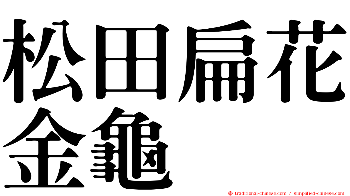 松田扁花金龜