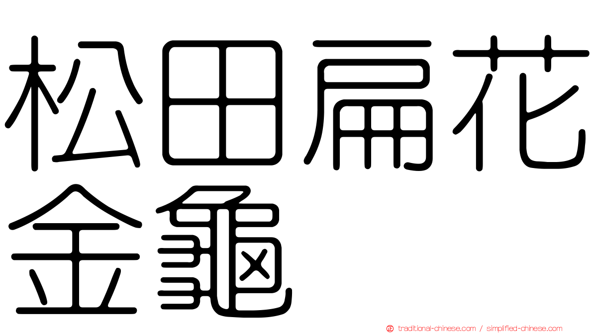 松田扁花金龜
