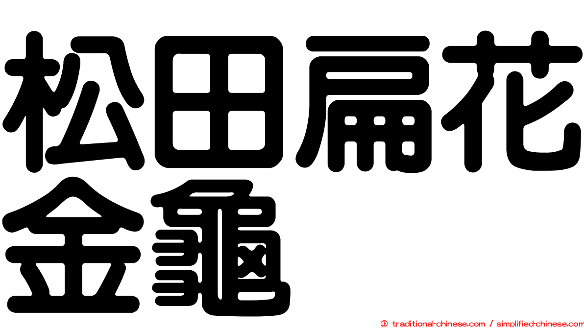 松田扁花金龜