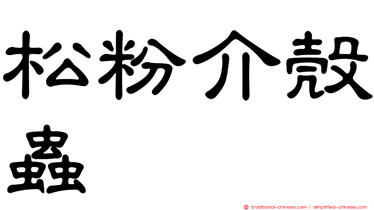 松粉介殼蟲