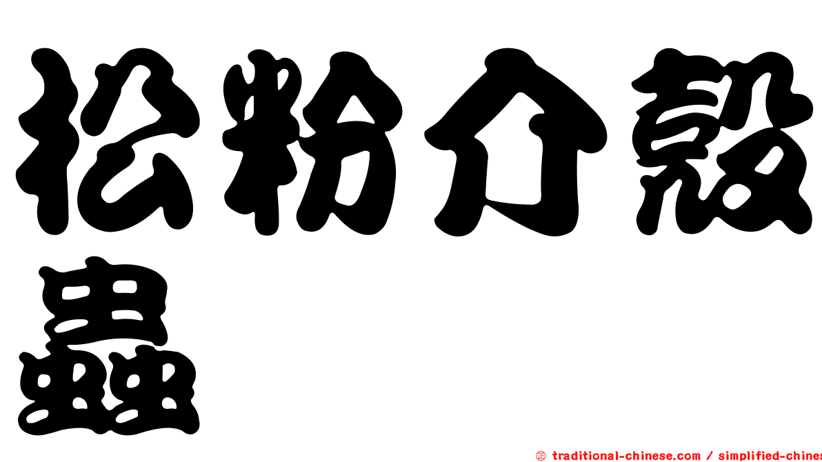 松粉介殼蟲