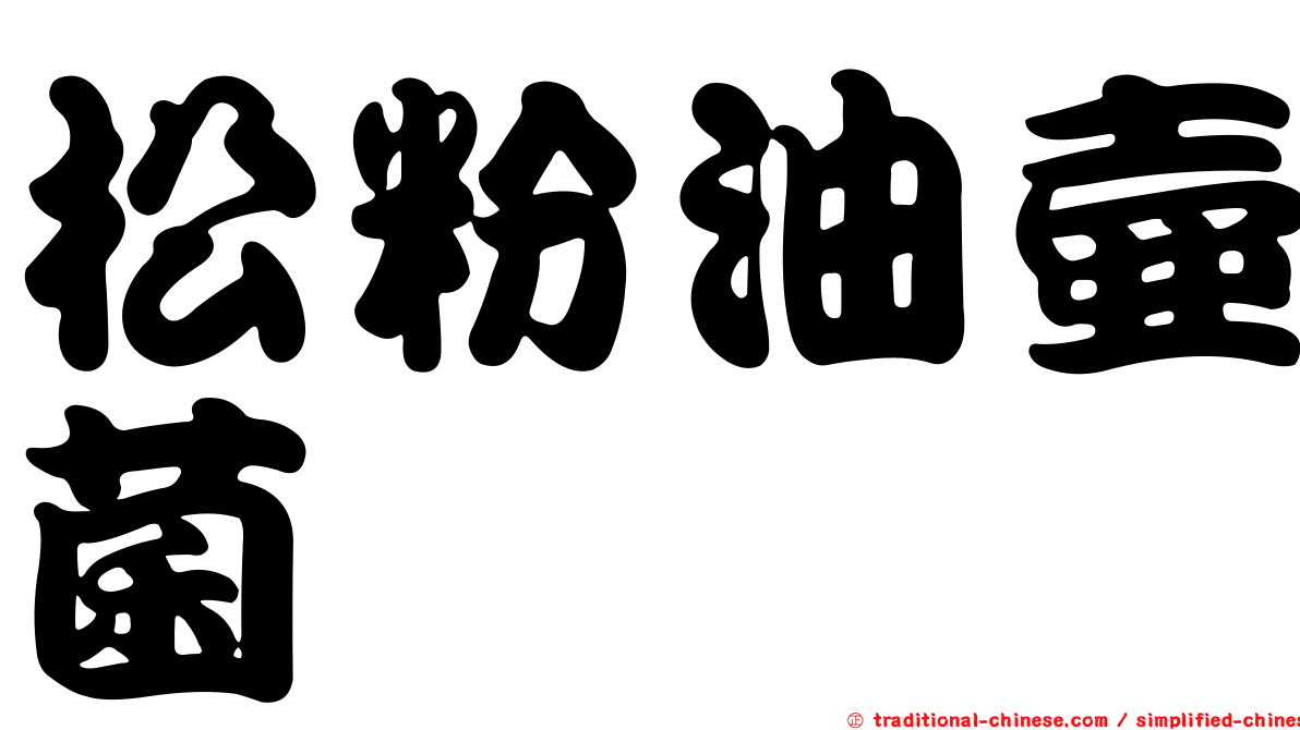 松粉油壺菌