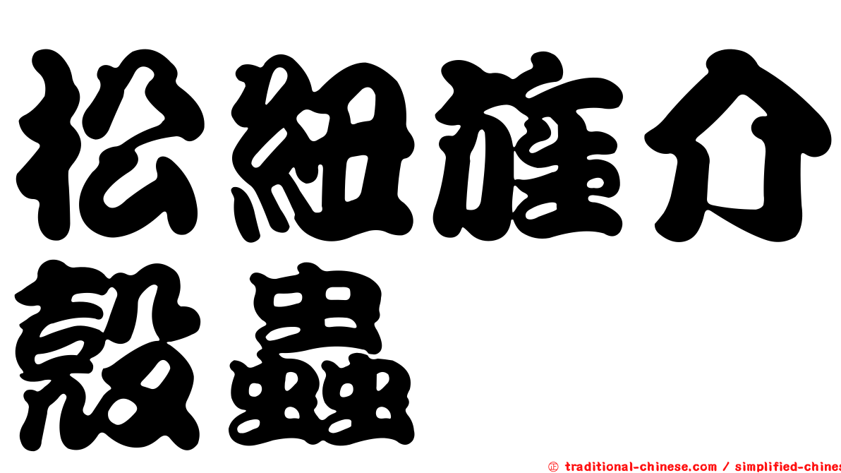 松紐旌介殼蟲