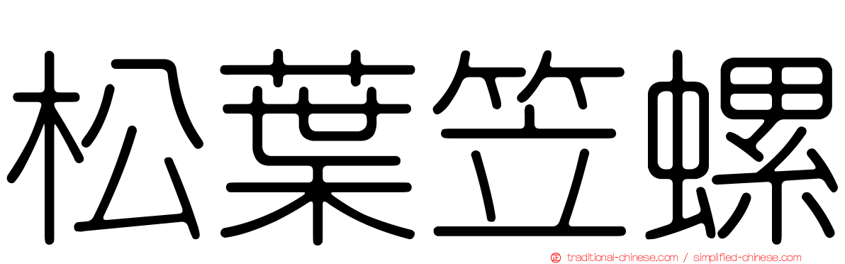 松葉笠螺