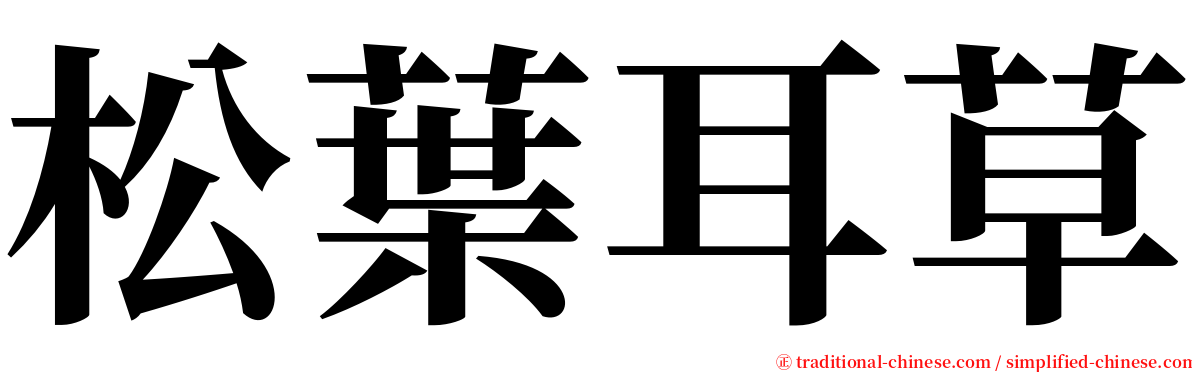松葉耳草 serif font