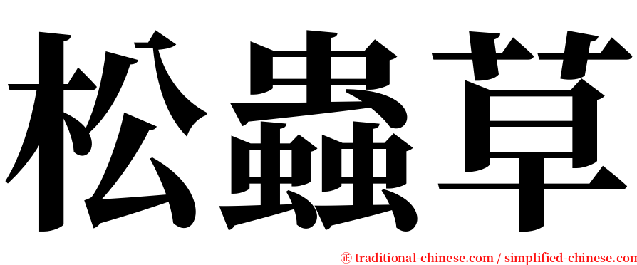 松蟲草 serif font