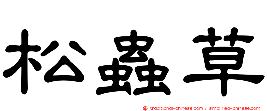 松蟲草