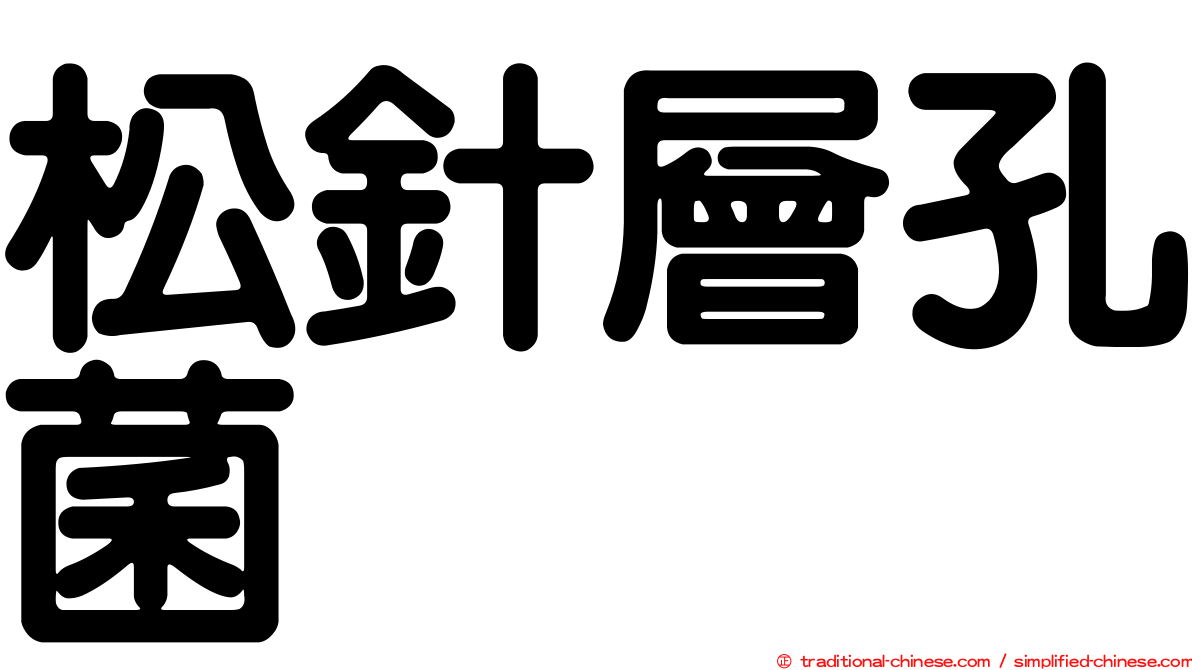松針層孔菌