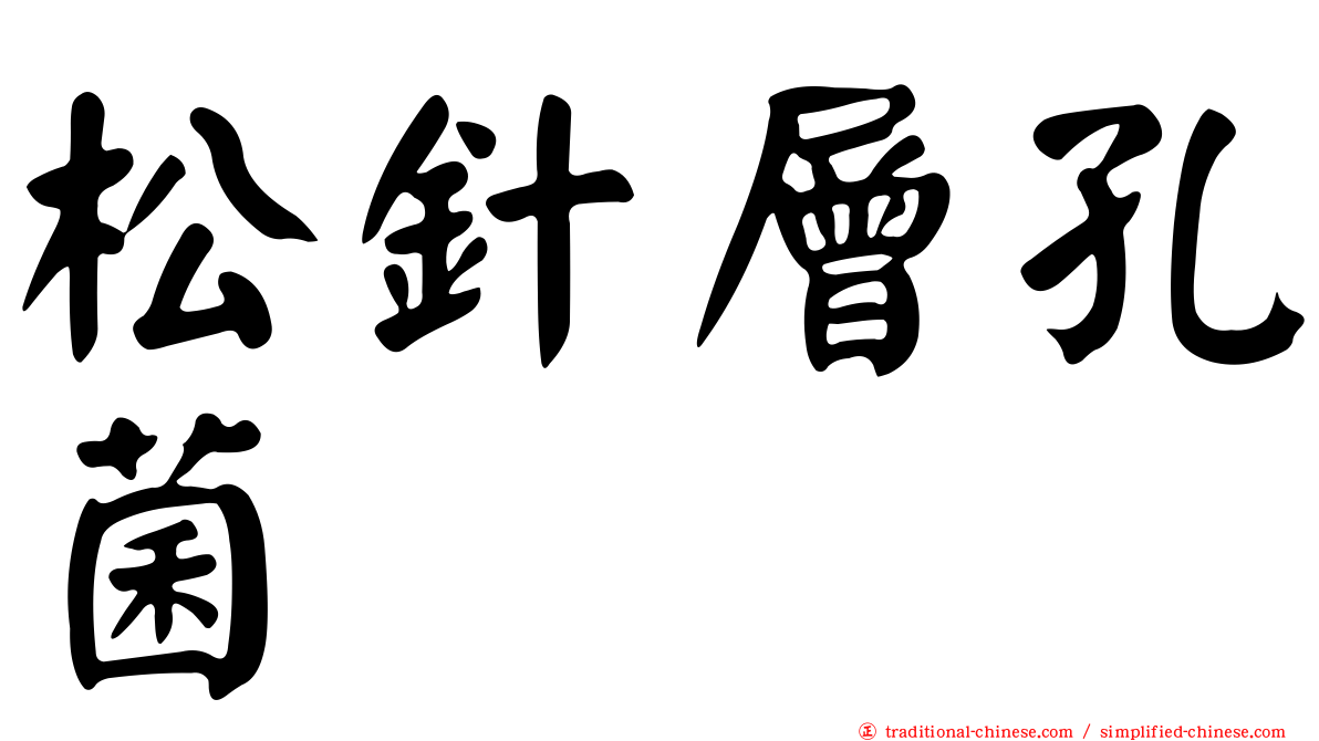 松針層孔菌