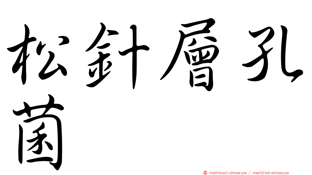 松針層孔菌