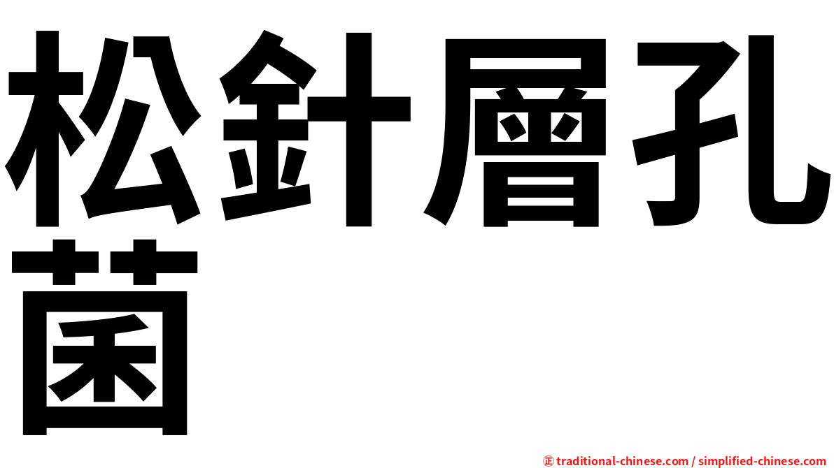 松針層孔菌