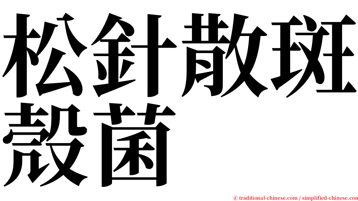 松針散斑殼菌 serif font