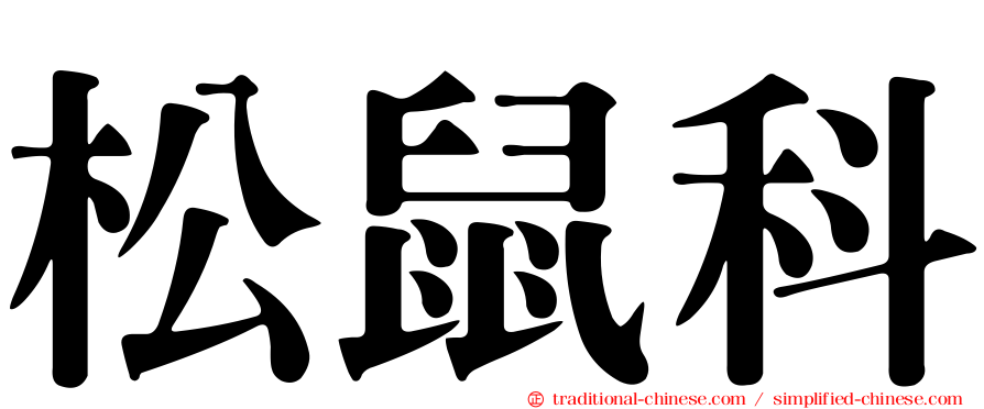 松鼠科