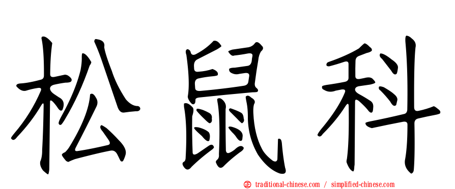 松鼠科