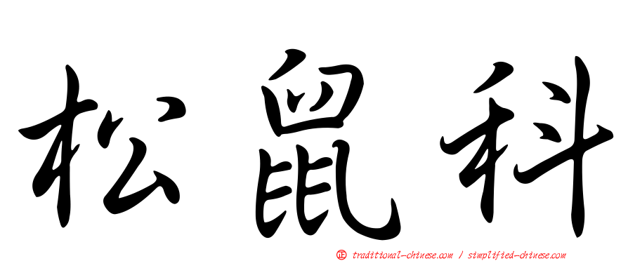 松鼠科